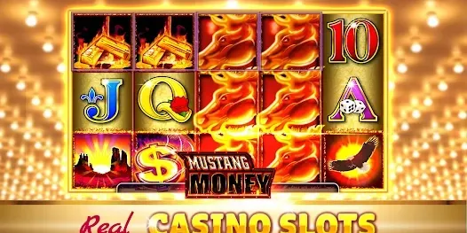 88fb bet অ্যাপ স্ক্রিনশট ২
